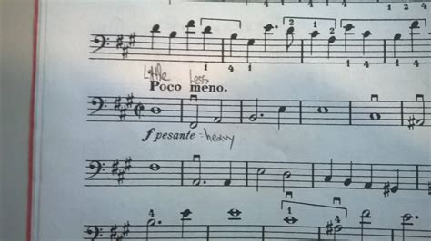 What Does Poco Mean in Music? - An Exploration of its Multilayered Interpretation